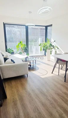Salon; vue, lumière naturelle, style moderne