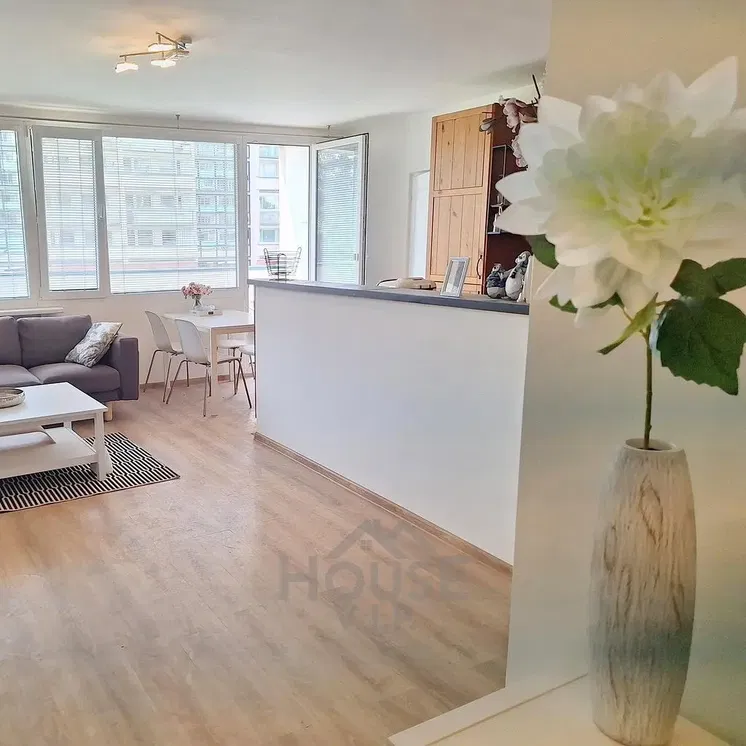 Wohnzimmer; tageslicht, moderner stil, holzboden