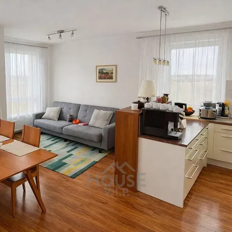 Living room; natural light