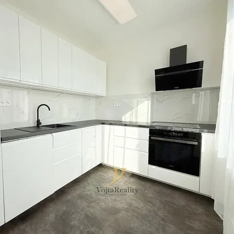 Keuken; keukenapparatuur, moderne stijl, gerenoveerd, natuurlijk licht