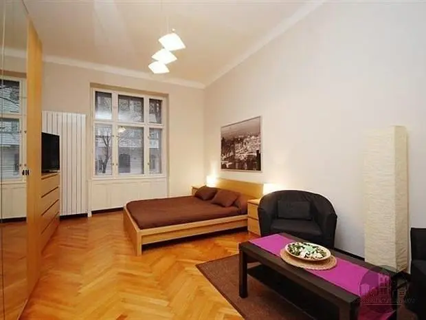Bedroom; wood floor, natural light