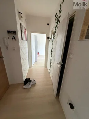 Vestiyer; ahşap zemin, doğal ışık