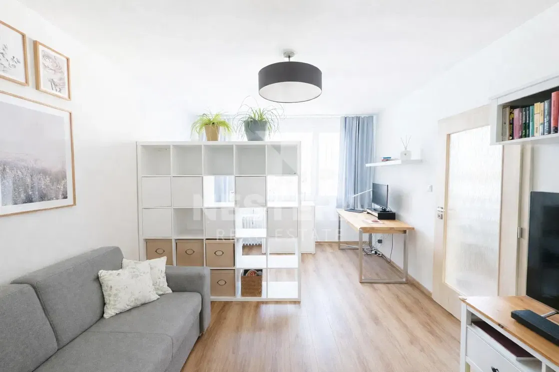 Salon; lumière naturelle, style moderne