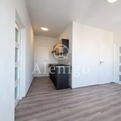 Küche; renoviert, tageslicht