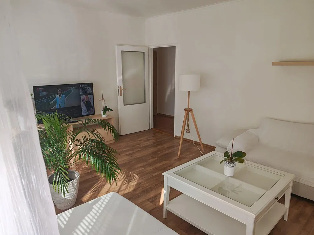 Wohnzimmer; tageslicht, moderner stil