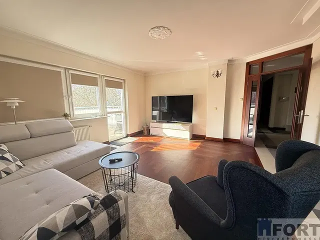 Salon; lumière naturelle, style moderne