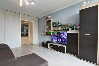 Oturma odası; doğal ışık, modern stil, ahşap zemin