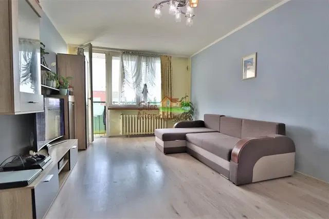 Salon; lumière naturelle, vue, parquet