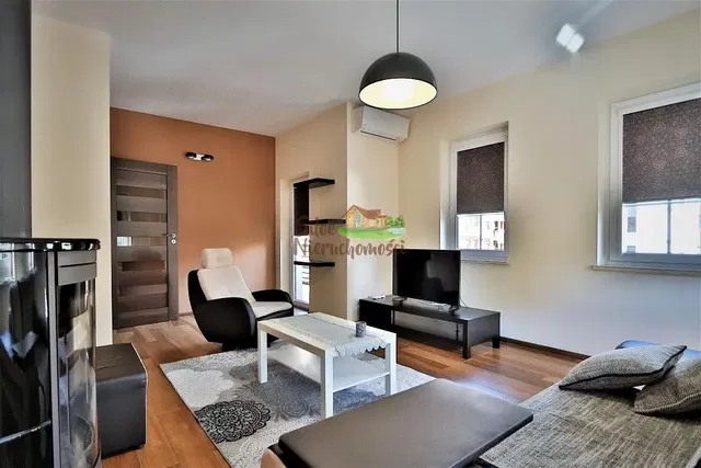 Salon; parquet, lumière naturelle, style moderne