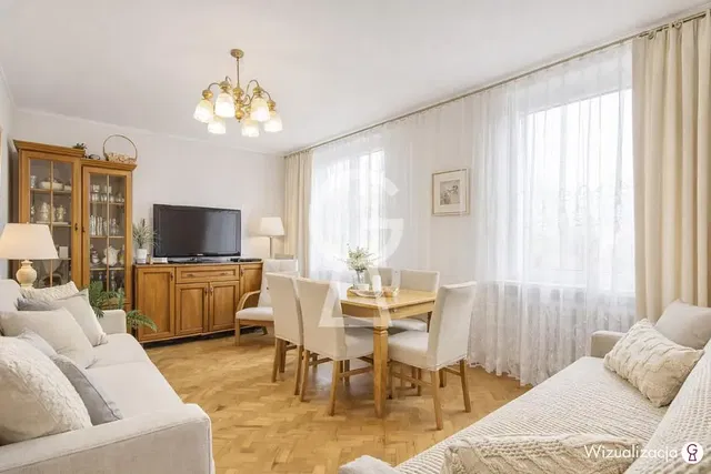 Living room; natural light, modern style