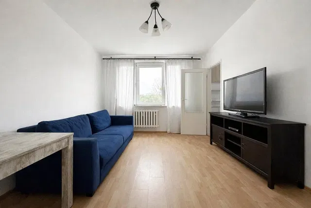 Living room; natural light, wood floor