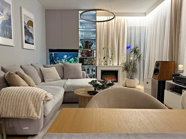 Living room; fireplace, modern style, natural light