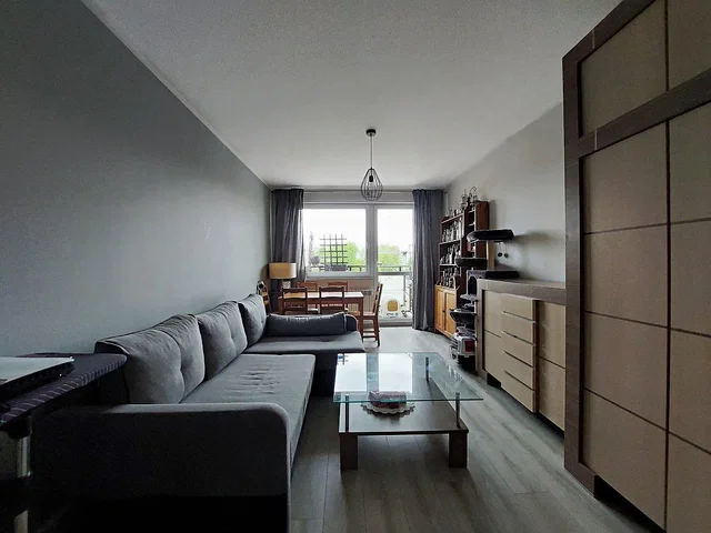 Living room; view, natural light