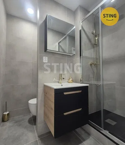 Bagno; pavimento in piastrelle, ristrutturato, luce naturale