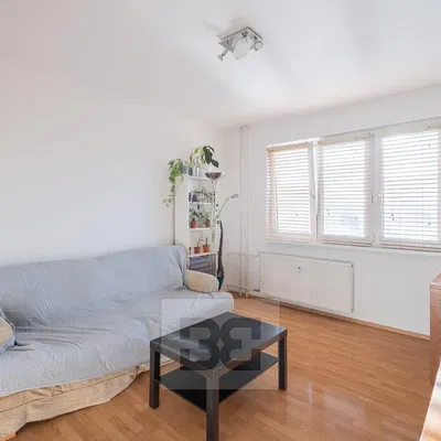 Wohnzimmer; holzboden, tageslicht