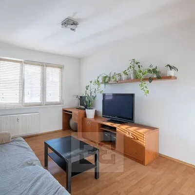 Wohnzimmer; tageslicht, holzboden