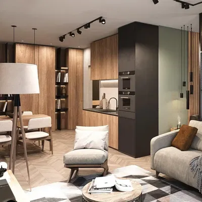 Salon; électroménager, style moderne, parquet, lumière naturelle, rénové