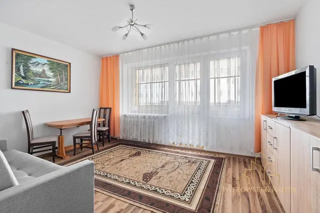 Salon; lumière naturelle, style moderne