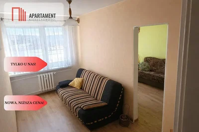 Oturma odası; doğal ışık, manzara