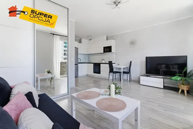 Дневна соба; поглед, модерни стил, дрвени под