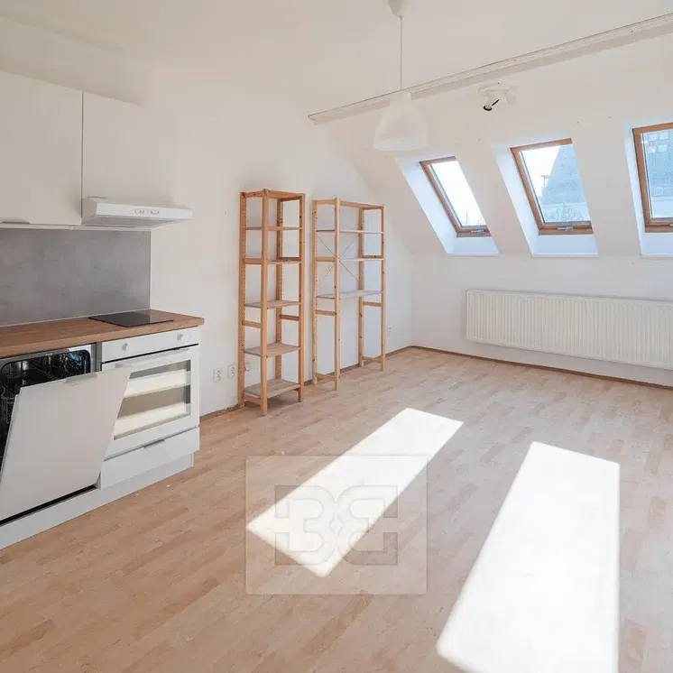 Kuhinja; kućanski aparati, prirodna svjetlost, moderan stil