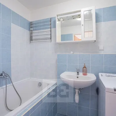 Kupaonica; pločice, renoviran, prirodna svjetlost, moderan stil