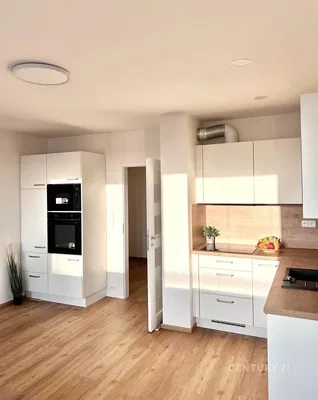 Kitchen; kitchen appliances, natural light, modern style