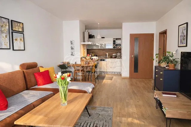 Soggiorno; luce naturale, stile moderno