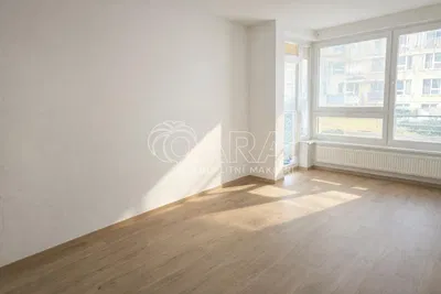 Wohnzimmer; blick, holzboden, tageslicht, renoviert