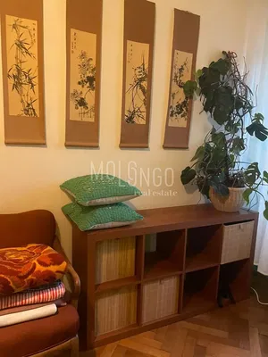 Wohnzimmer; rustikaler stil, tageslicht