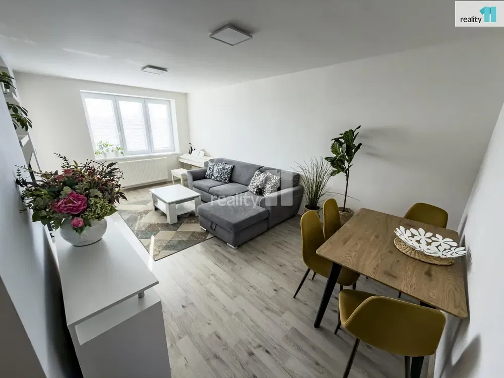 Wohnzimmer; tageslicht, moderner stil