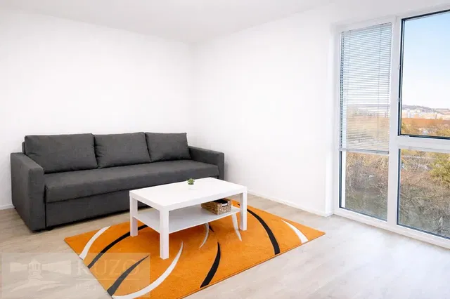 Wohnzimmer; blick, tageslicht