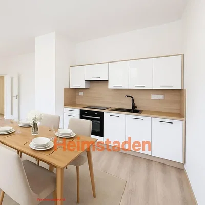 Kuhinja; kućanski aparati, moderan stil, renoviran, prirodna svjetlost