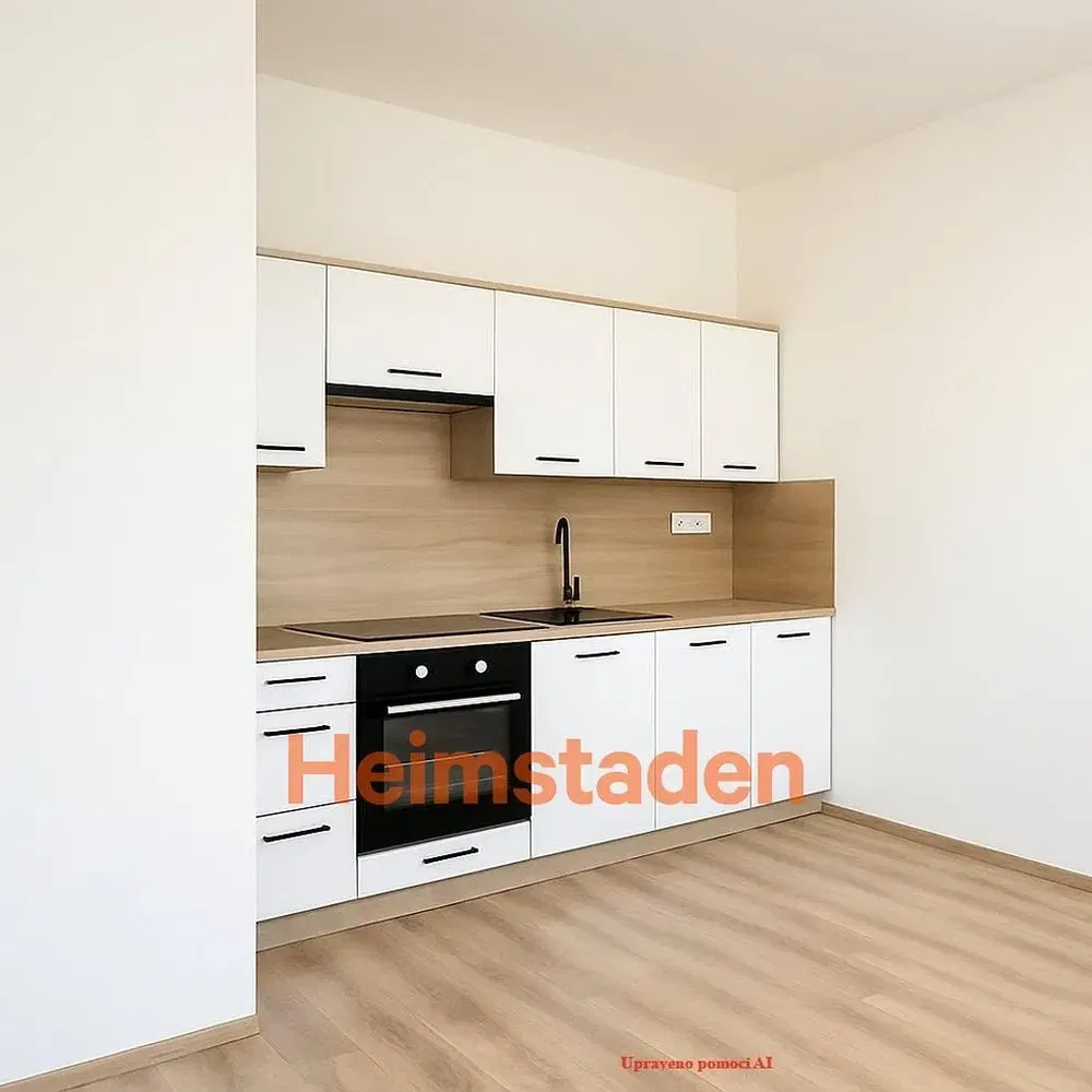 Kuhinja; kućanski aparati, moderan stil, renoviran