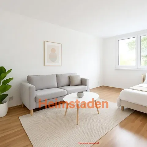 Living room; natural light, modern style