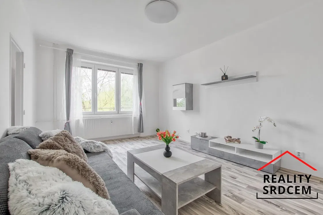 Oturma odası; manzara, doğal ışık, modern stil