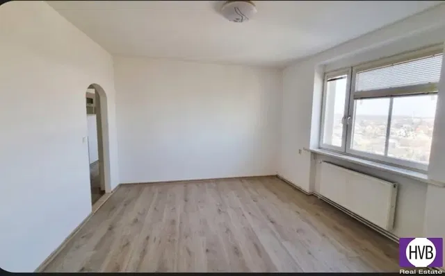 Wohnzimmer; blick, holzboden, tageslicht