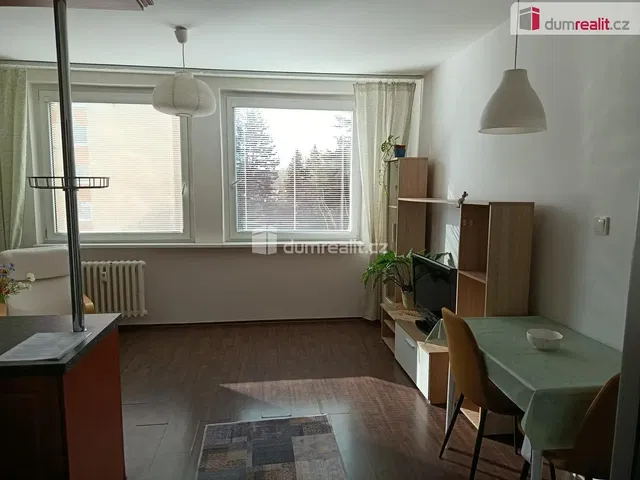 Living room; natural light, modern style