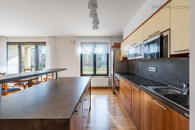 Kuhinja; kuhinjski aparati, prirodno svjetlo, moderni stil, drveni pod