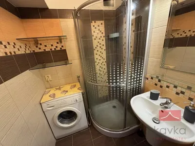 Kupaonica; pločice, renoviran, prirodno svjetlo, moderni stil