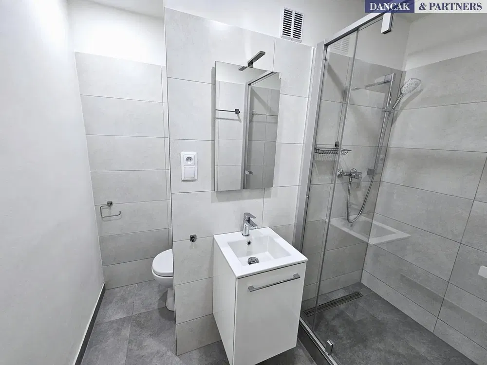 Kupaonica; pločice, renoviran, prirodno svjetlo, moderni stil
