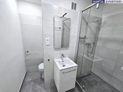 Kupaonica; pločice, renoviran, prirodno svjetlo, moderni stil