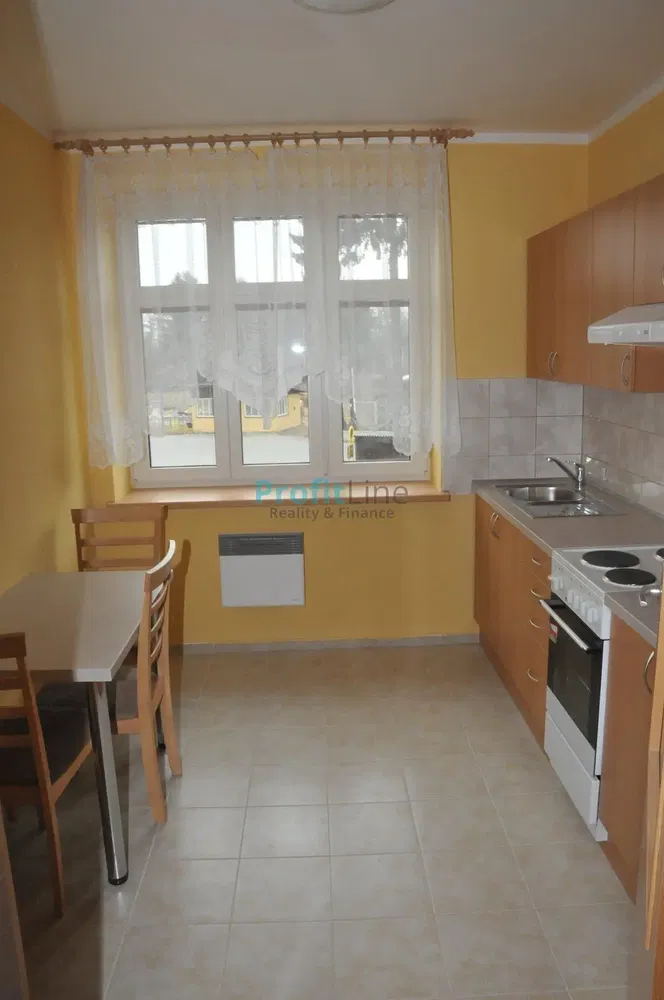 Kuhinja; kuhinjski aparati, pločice, prirodno svjetlo, moderni stil