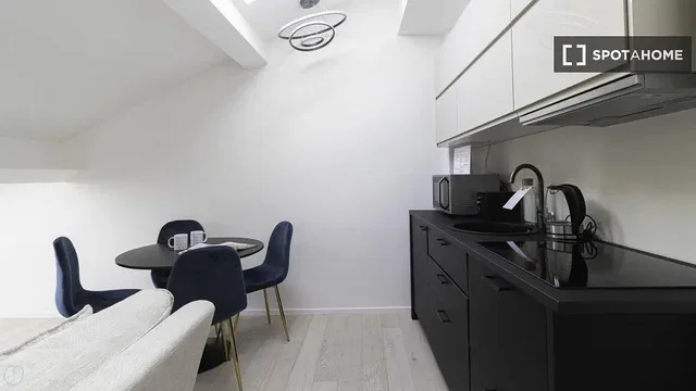 مطبخ; أجهزة المطبخ, أسلوب عصري