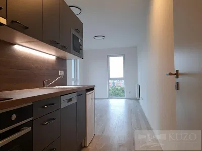 Kuchyně; kuchyňské spotřebiče, přirozené světlo, moderní styl, dřevěná podlaha