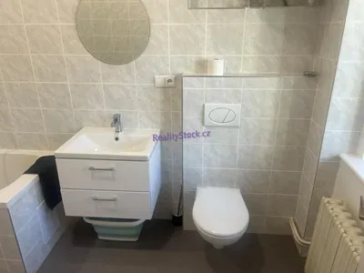 Toalet; pločice, renoviran, prirodno svjetlo, moderni stil