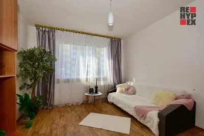Salon; lumière naturelle, style moderne