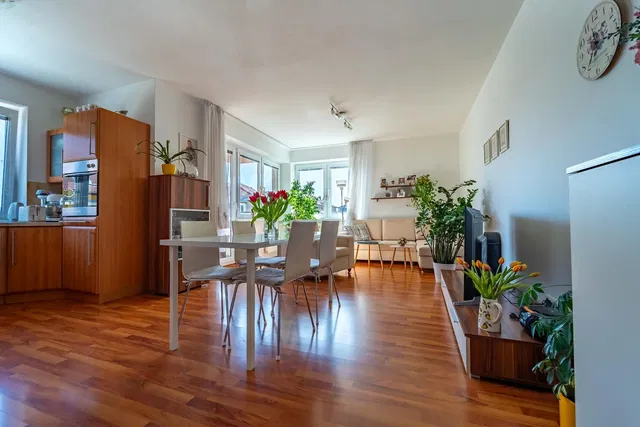 Obývací pokoj; přirozené světlo, dřevěná podlaha, moderní styl