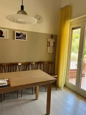 Dining room; wood floor, natural light, rustic style