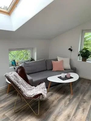 Salon; lumière naturelle, parquet, style moderne